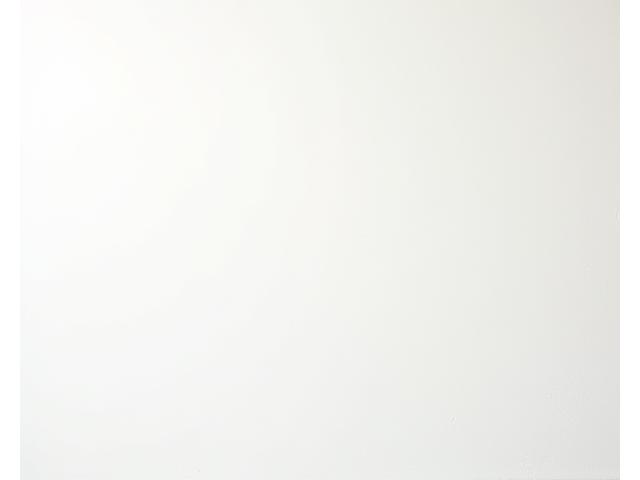 伝統的な左官職人が、滑らかな漆喰壁を丁寧に仕上げている様子。壁は純粋な白で、やわらかな光を反射している。